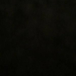 Meet your Posher, Dolphin